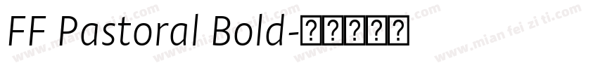 FF Pastoral Bold字体转换